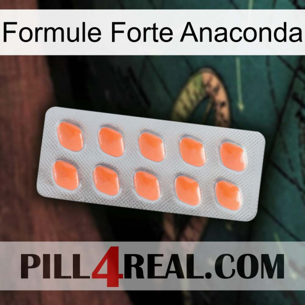 Anaconda Strong Formula 26